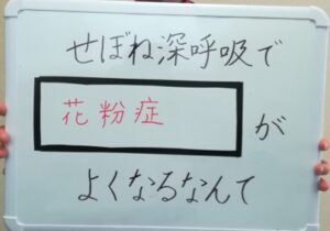 花粉トラブルa